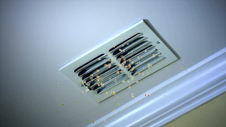 Best Air Duct Cleaning Near Me  in Hauser, ID