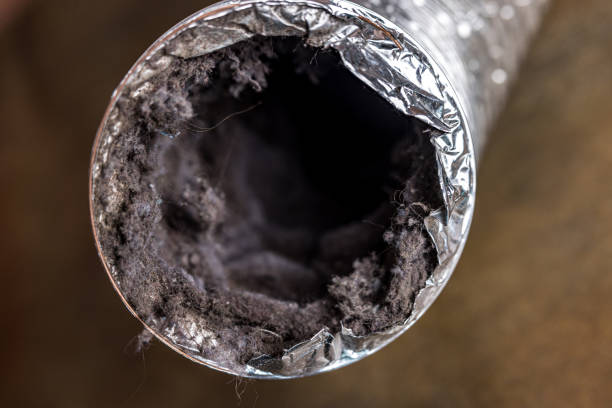 Best Home Air Vent Cleaning  in Hauser, ID