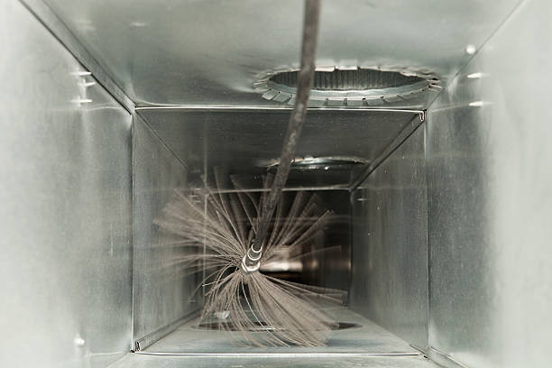 Air Duct Mold Removal in Hauser, ID